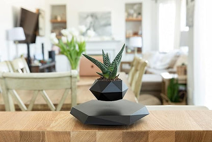 Levitating - Bonsai Planter Pot ©